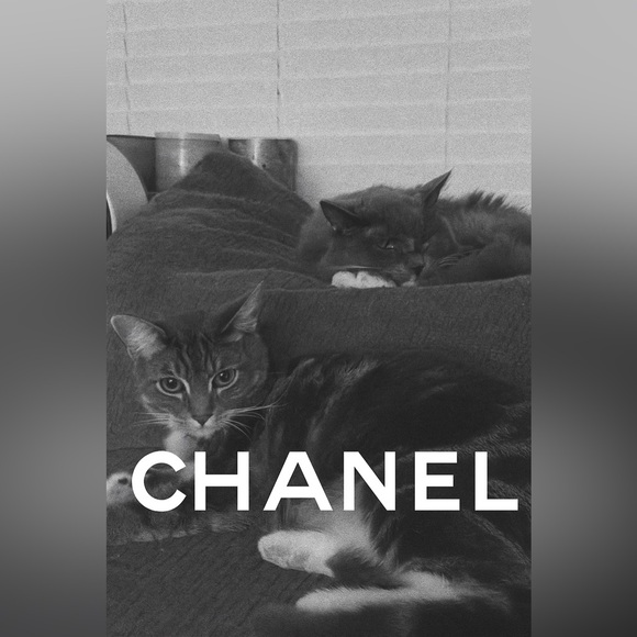 I'm going Live! Get In, we gunna make sales and have fun ❤️‍🔥🪷🪷🪷🪷 - Picture 3 of 15